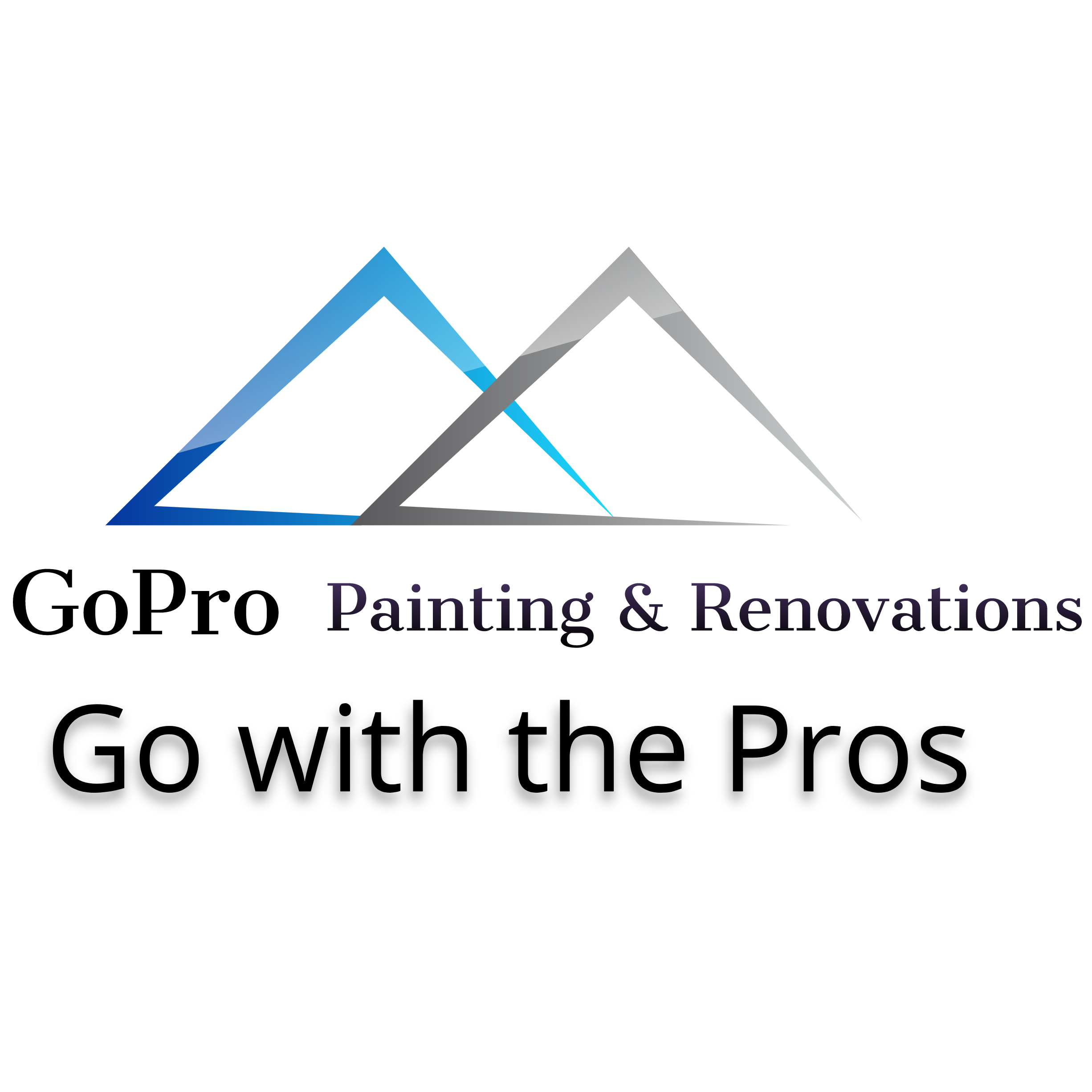 Avatar for GoPro Painting & Renovations