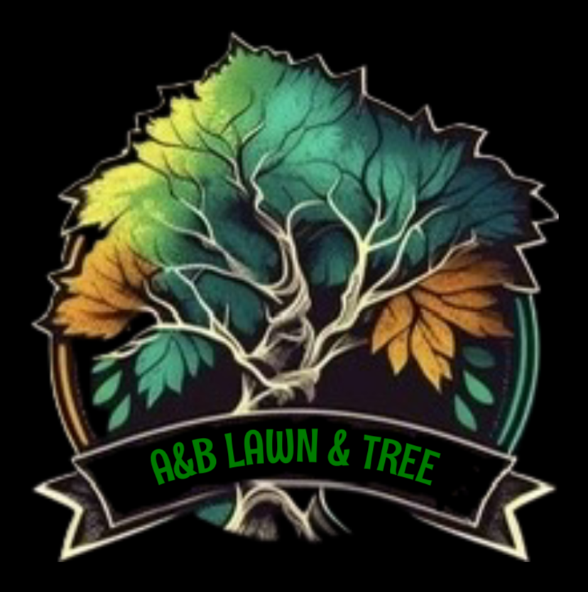 Avatar for A&B Lawn & Tree