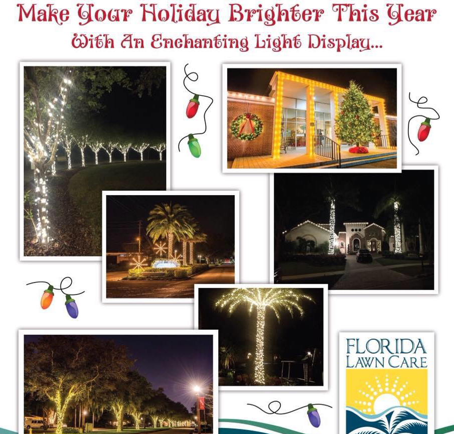 Florida Lawn Care Services and Holiday Lighting logo