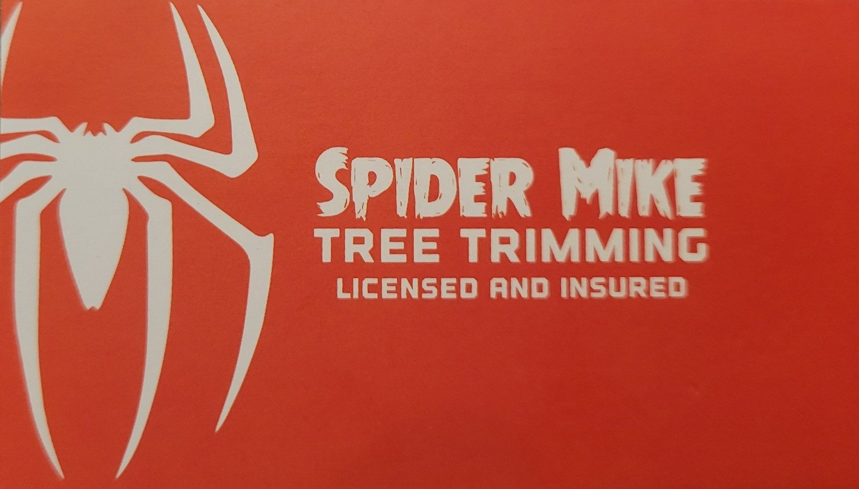 Spider Mike's tree trimming logo