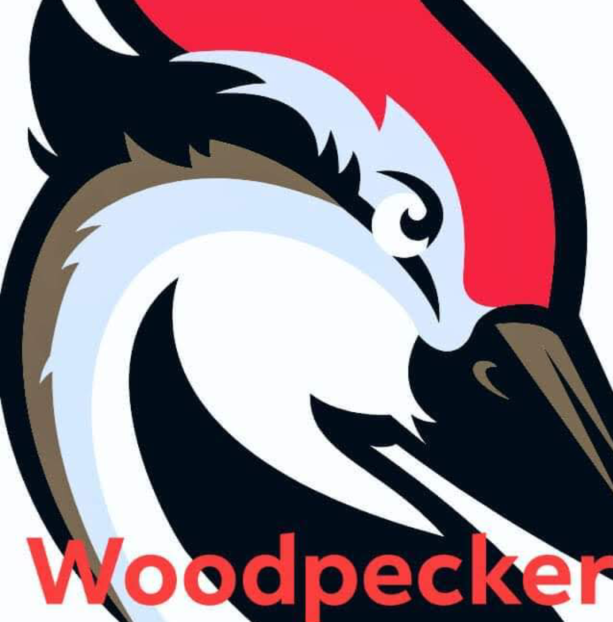 Avatar for Woodpecker Palm and Tree Trimming