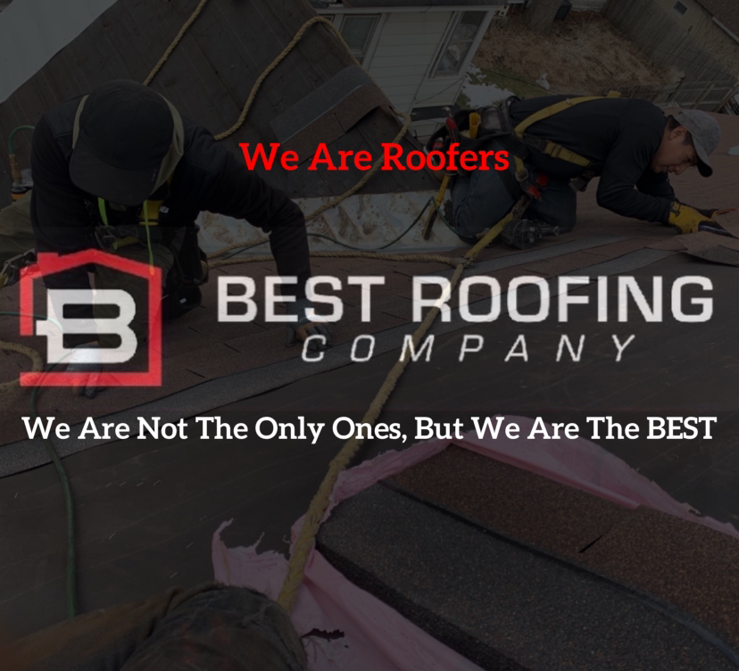Avatar for Rojo Roofing & Exteriors