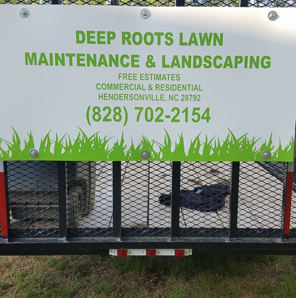Deep Roots Lawn Maintenance and Landscaping logo