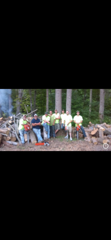 Avatar for Big Dog Tree and Stump Removal