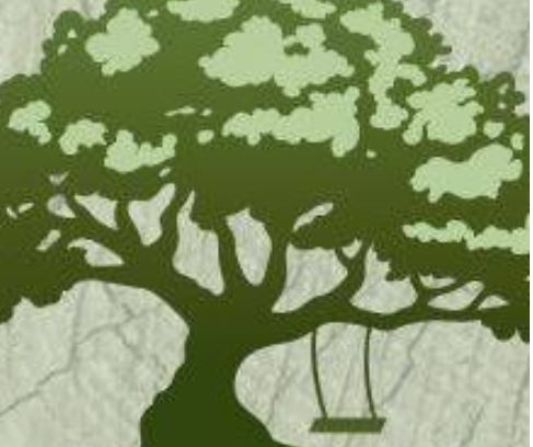 Avatar for Rigo's Tree Service - San Antonio
