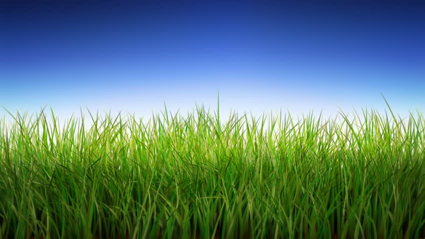 Avatar for KGR Landscaping