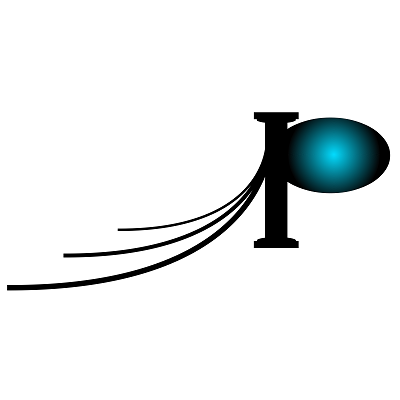 Palace Construction Group logo
