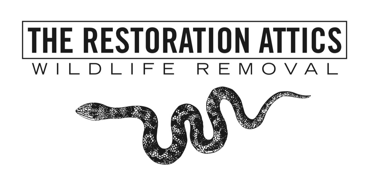 The Restoration Attics logo