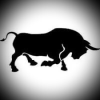 Bull Construction logo