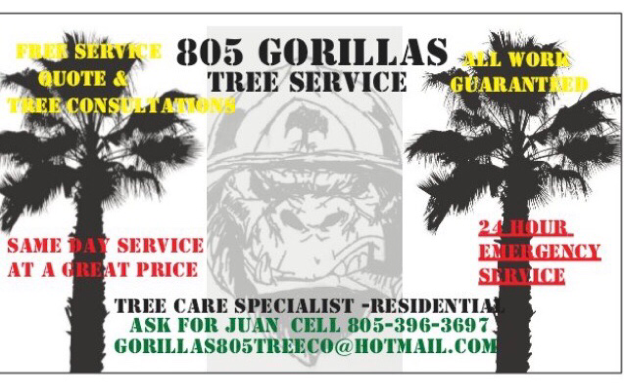 Avatar for 805 Gorillas Tree Company