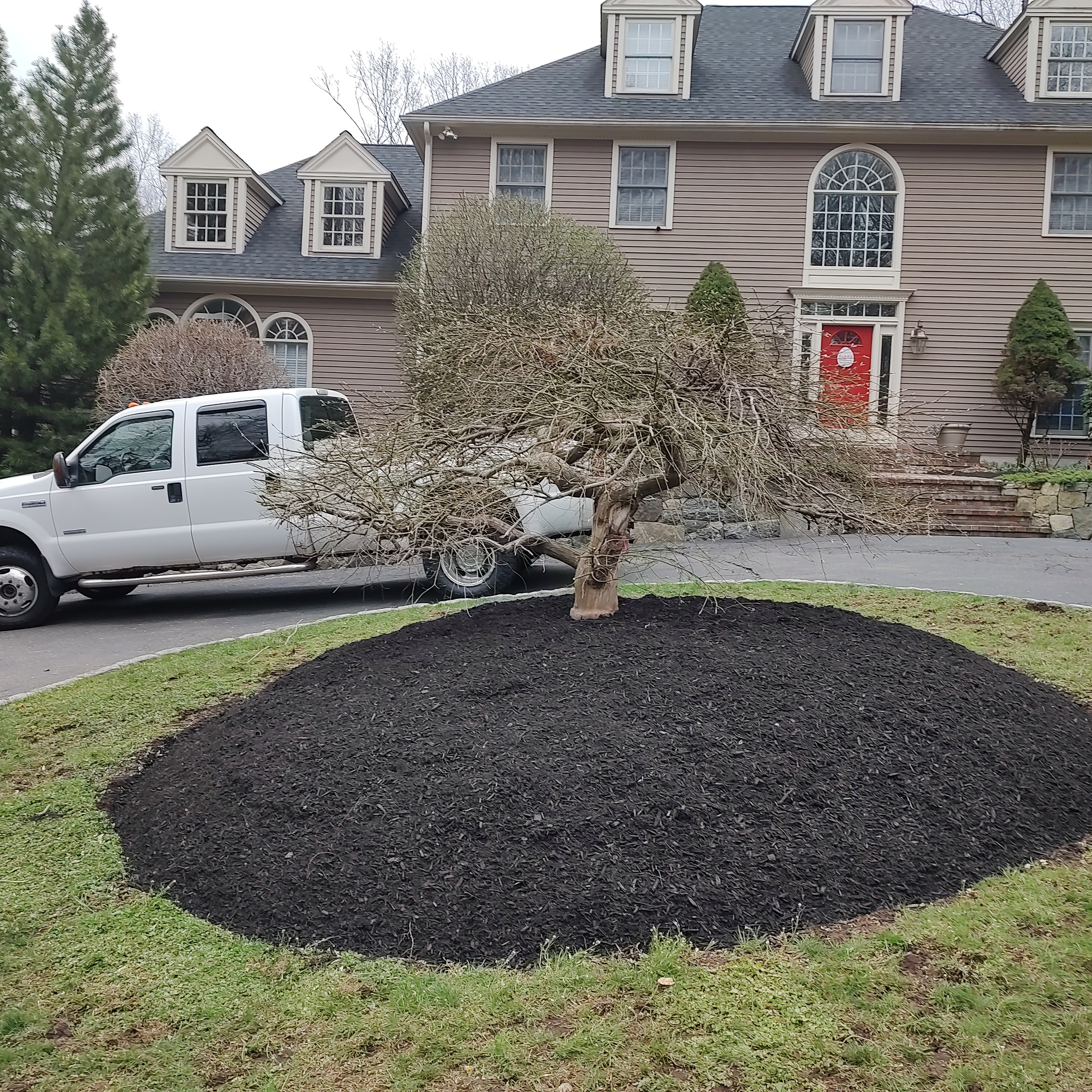 Luigi's Landscaping Construction & Masonry logo