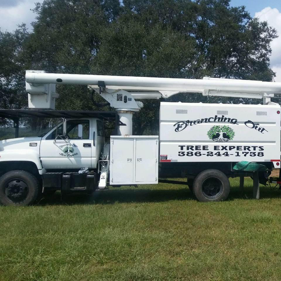 Branching Out Tree Experts logo