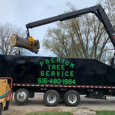 Avatar for Premium Tree Service