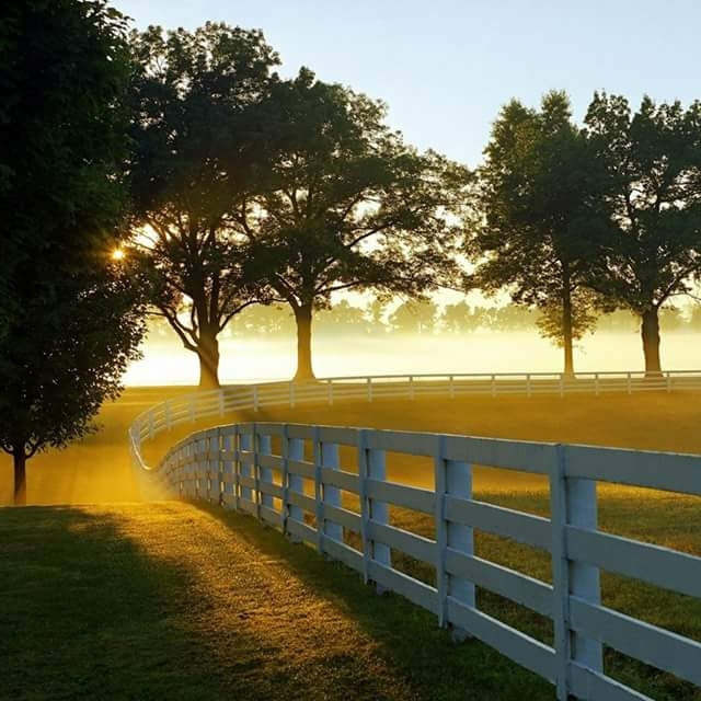 Avatar for American Fence And Deck