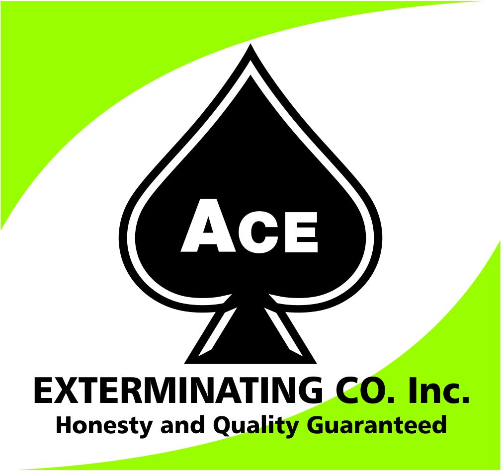 Ace Exterminating Co. Inc. logo