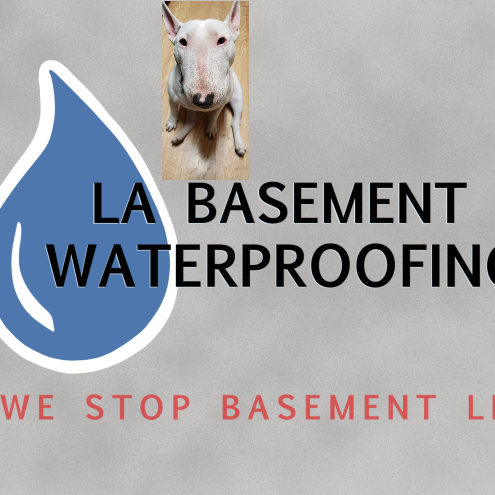 LA basemant waterproofing and foundation repair logo