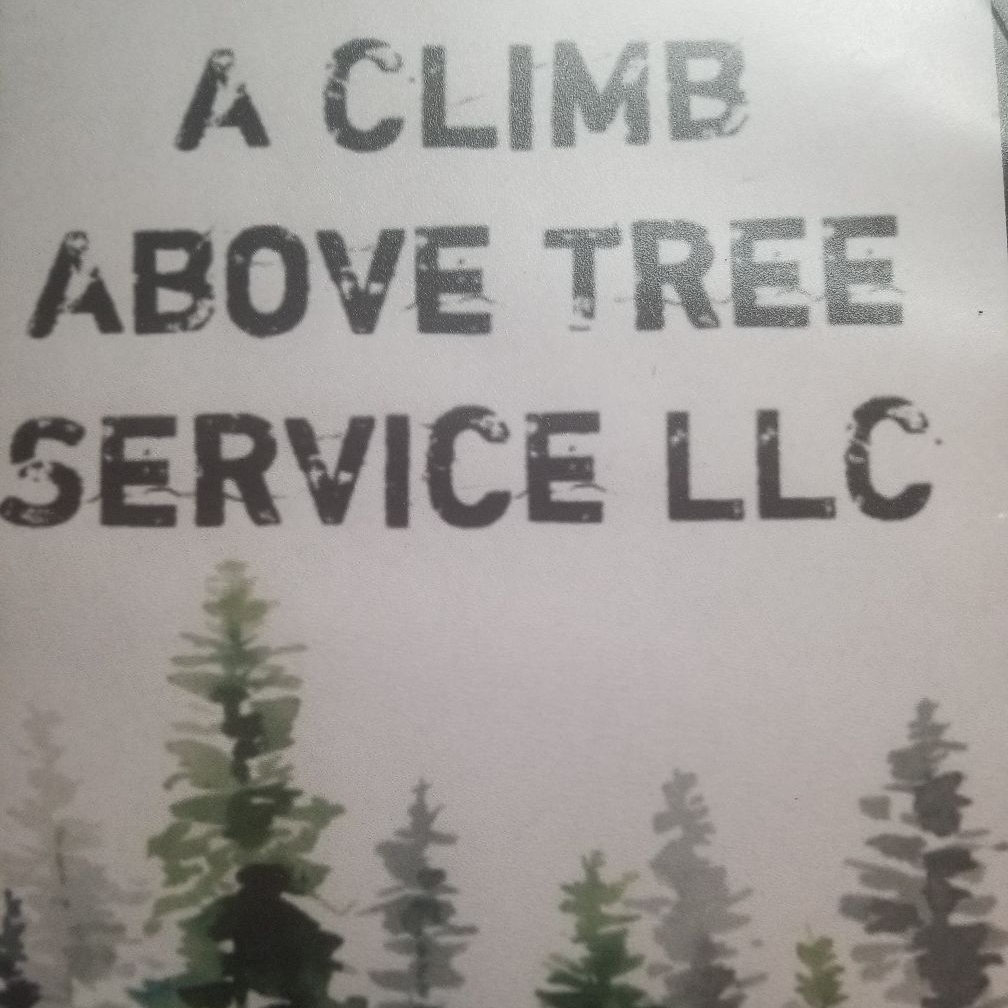 Avatar for A climb above tree service