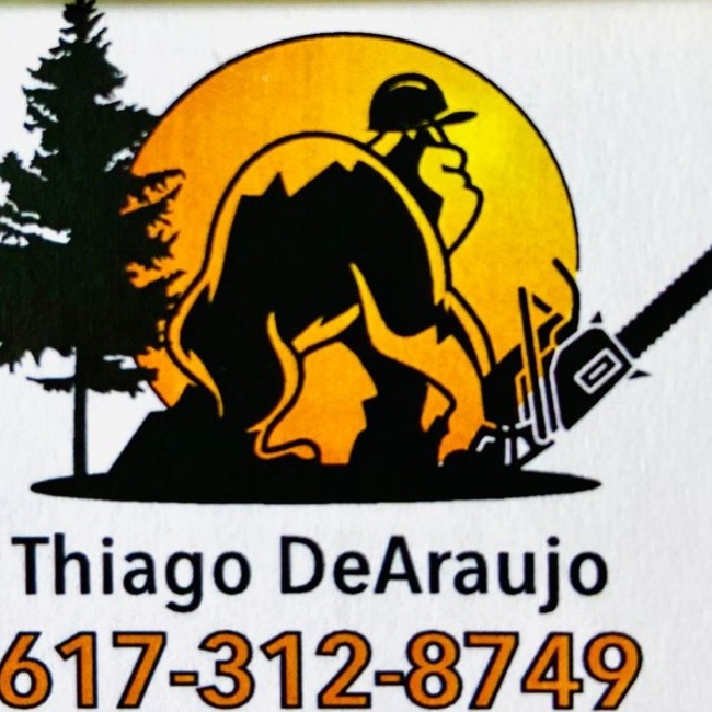 T Tree Service logo