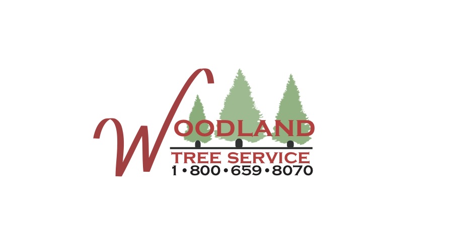 Woodland Tree Service logo