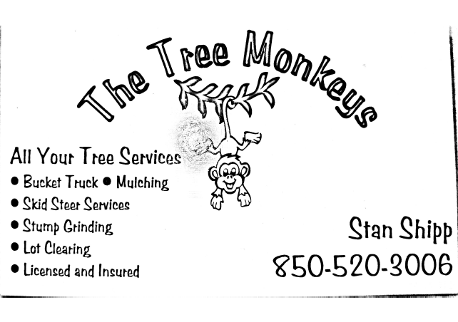 Avatar for The Tree Monkeys