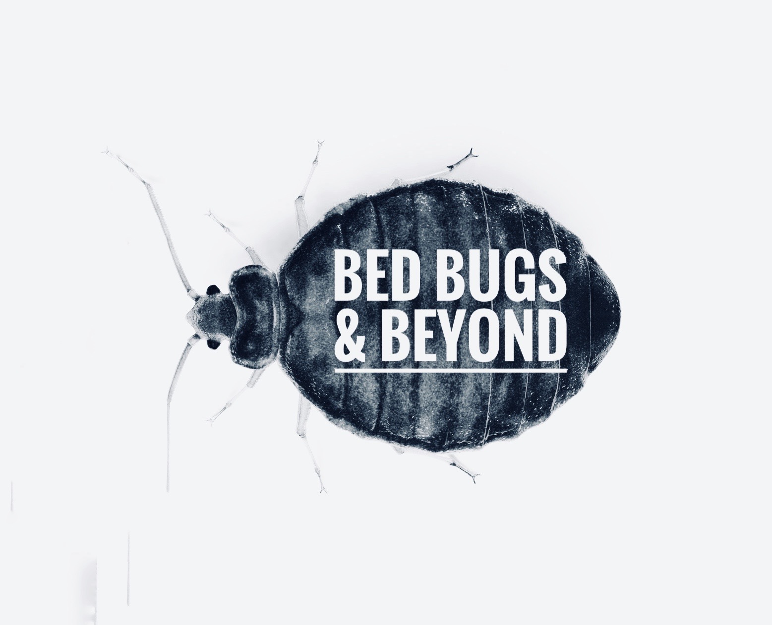 Bed Bugs & Beyond logo