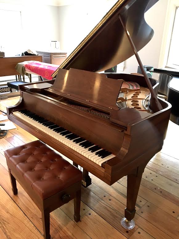 Robert S Marullo Piano Services logo