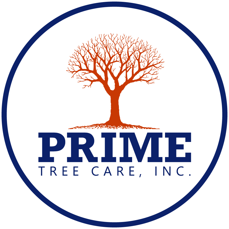 Prime Tree Care, Inc. logo