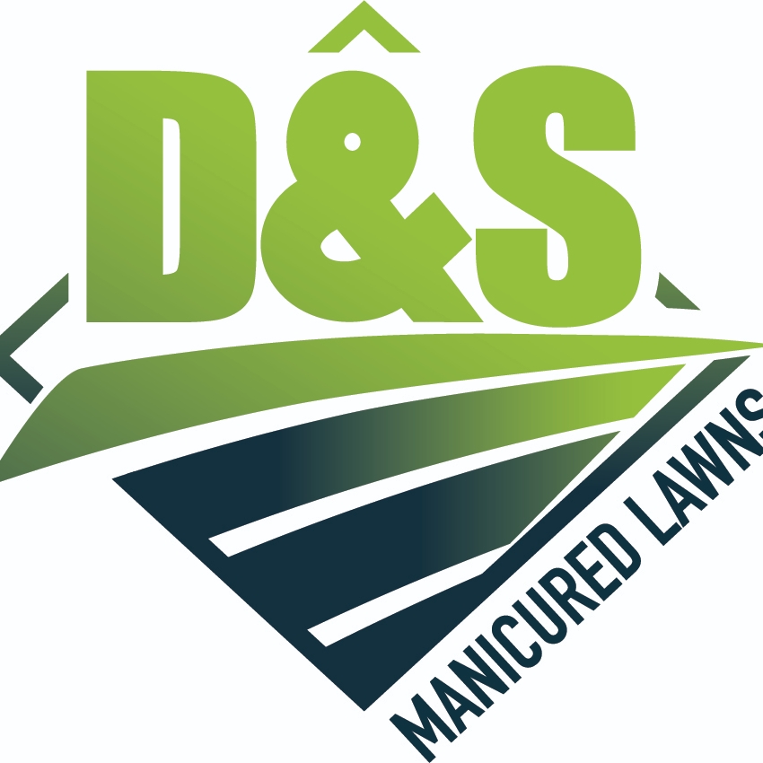Avatar for D&S Manicured Lawns LLC