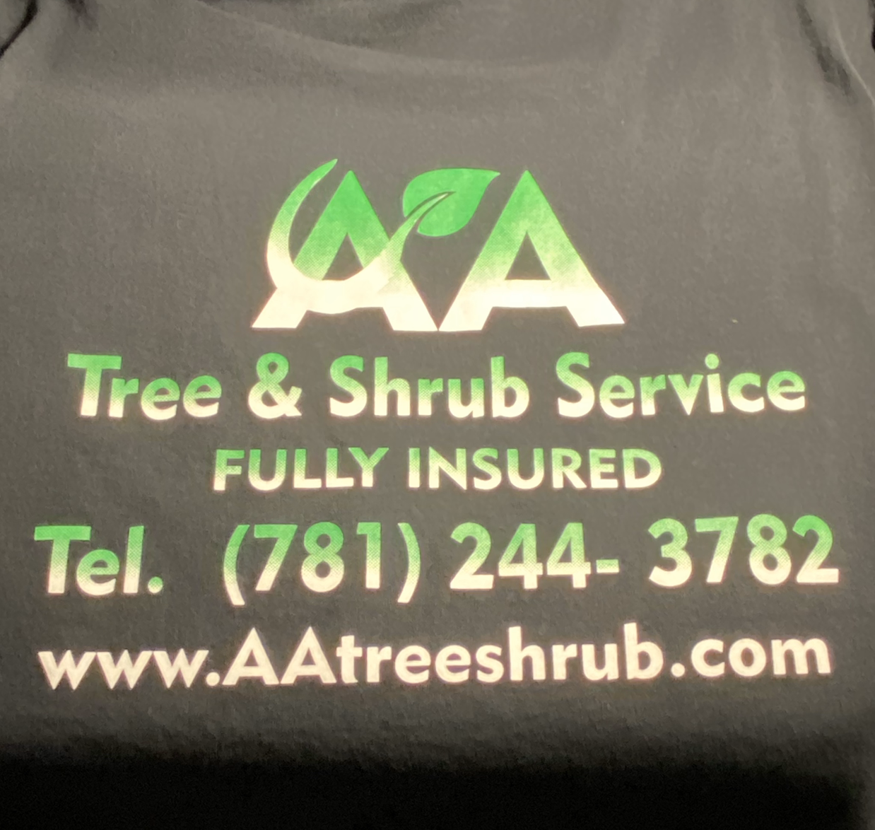 Avatar for AA Tree & Shrub service