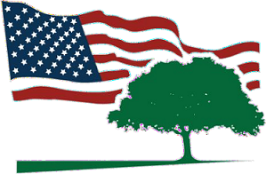 Avatar for All American Lawn, Landscape