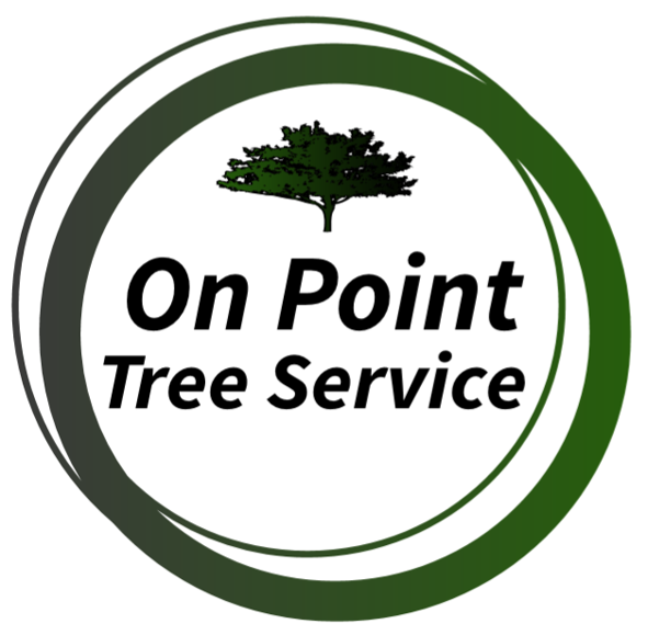 Avatar for On Point Tree Service