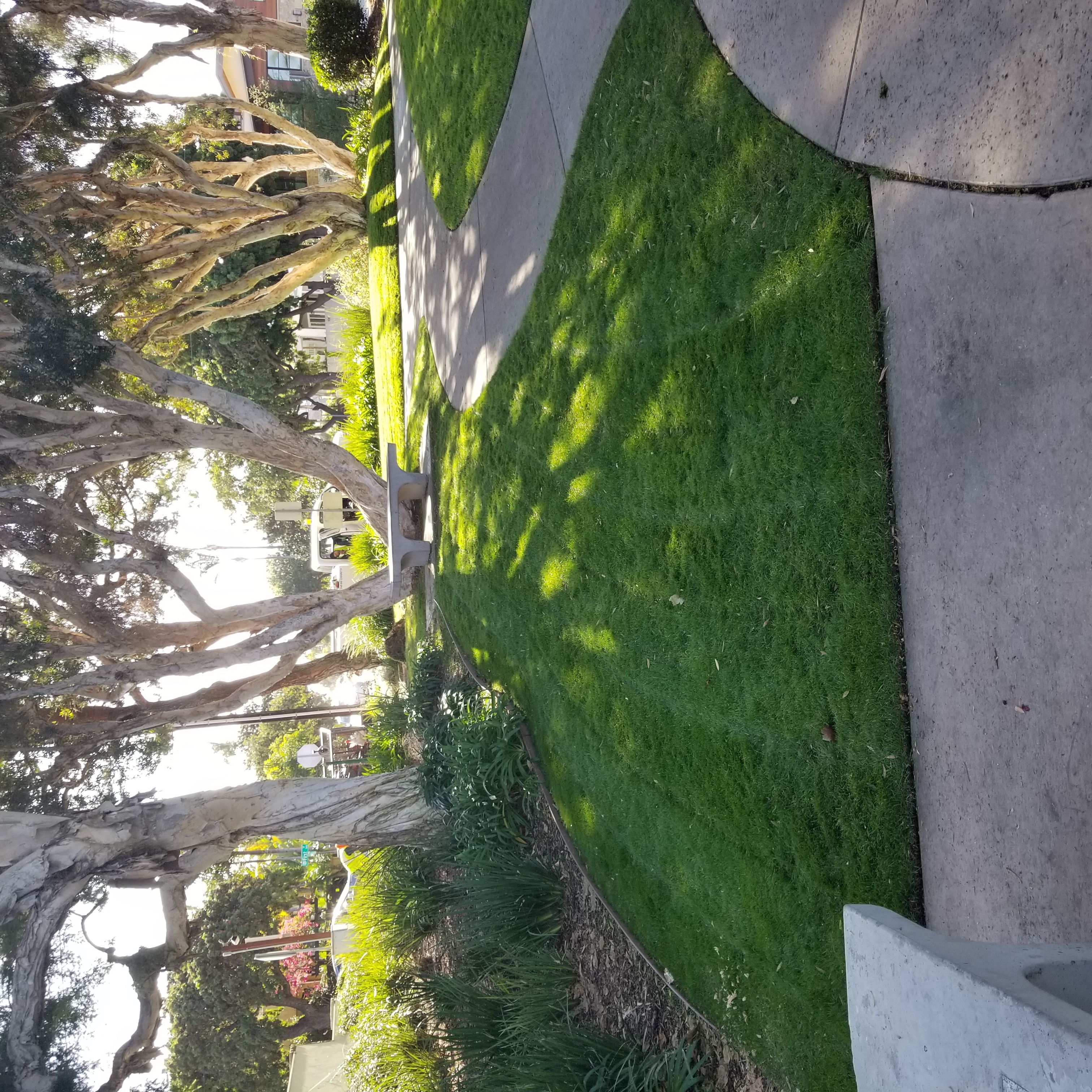 Evergreen Landscaping logo