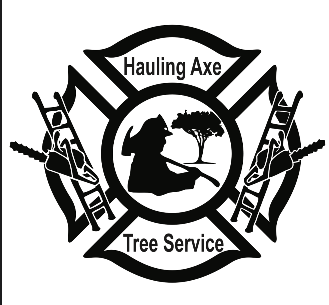 Avatar for Hauling Axe Tree Service