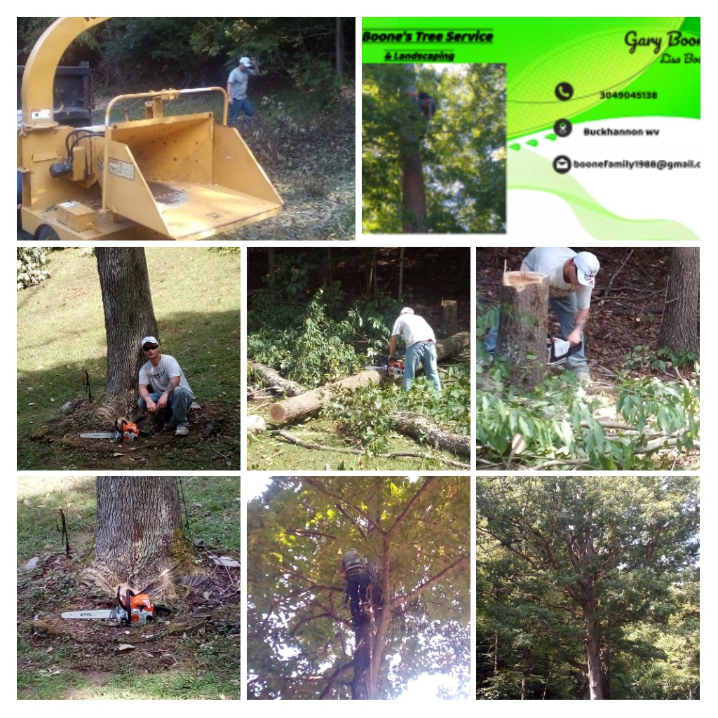 Avatar for boone's tree service