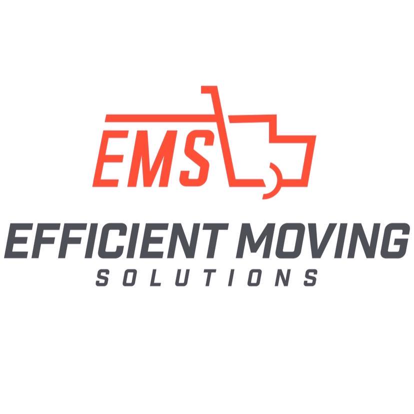 Avatar for Efficient Moving Solutions