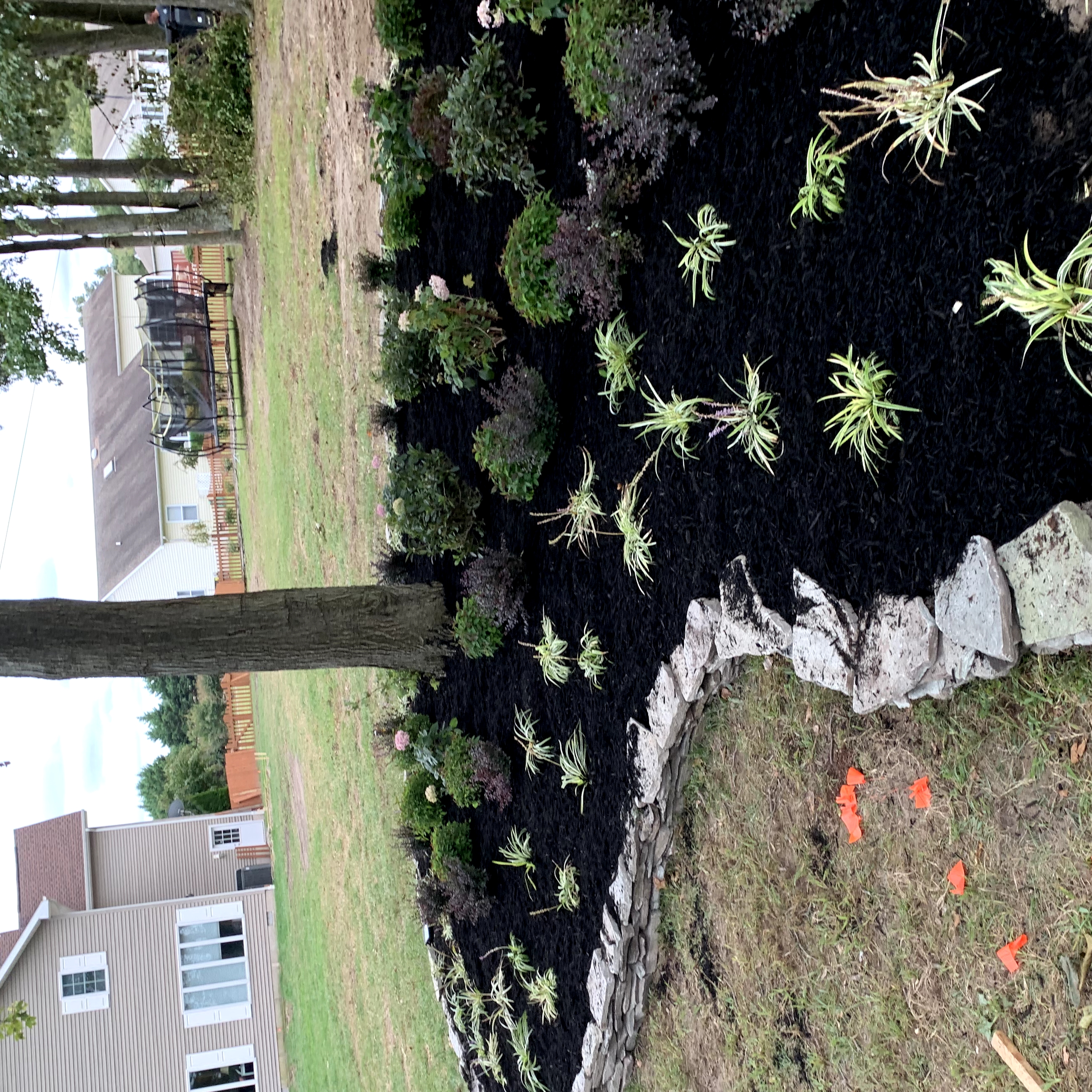 Avatar for Indian river lawns and landscapes