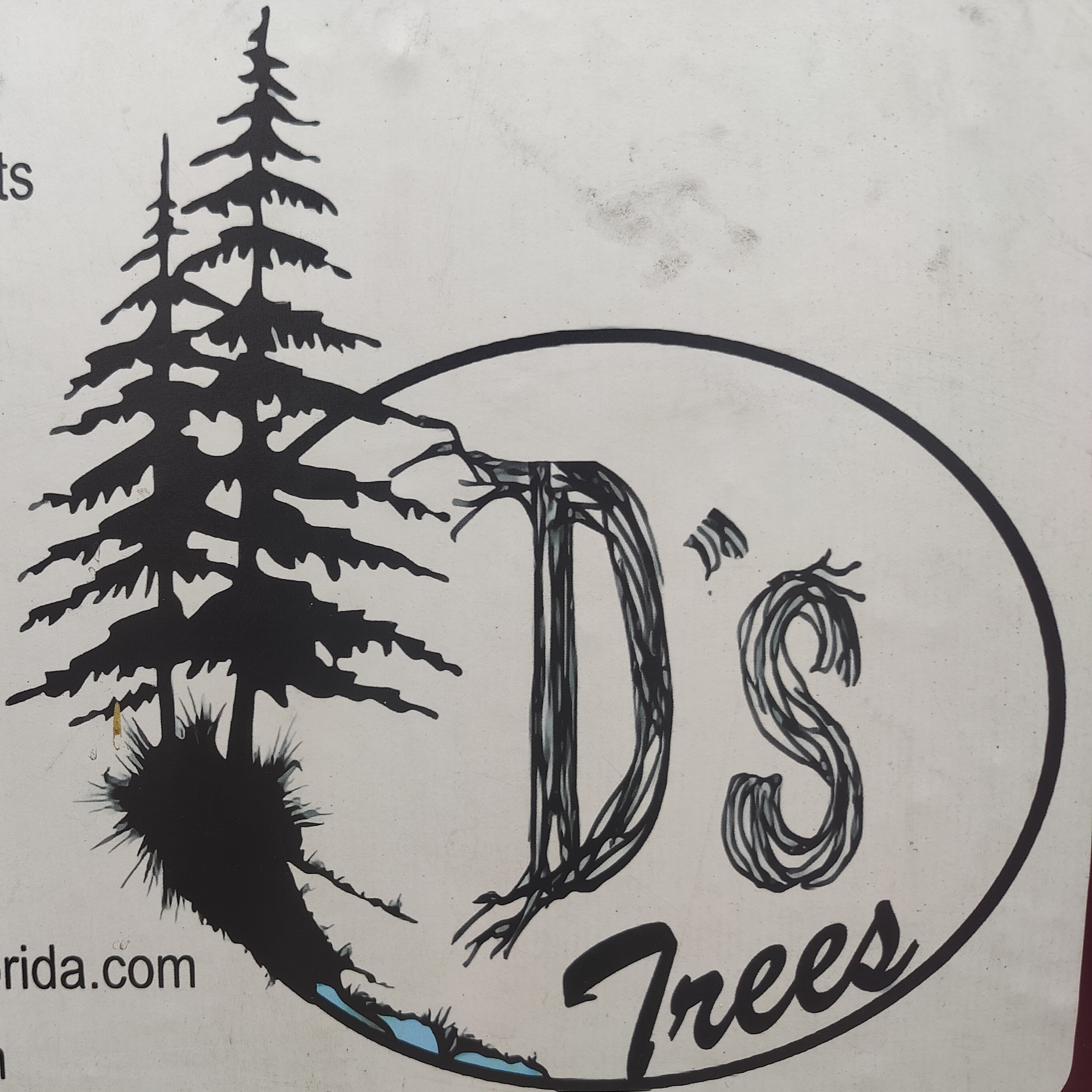 D's Trees Florida logo