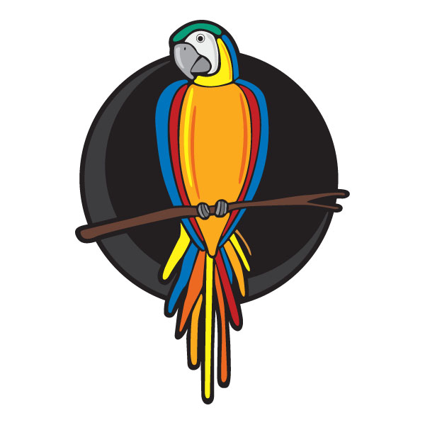 Desert Tropics Custom Pools logo
