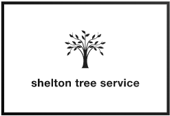 Logo for Shelton Tree Service