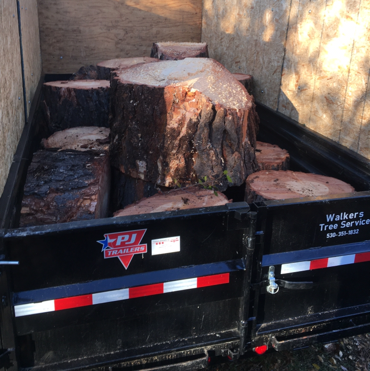 Logo for WALKER'S TREE SERVICE