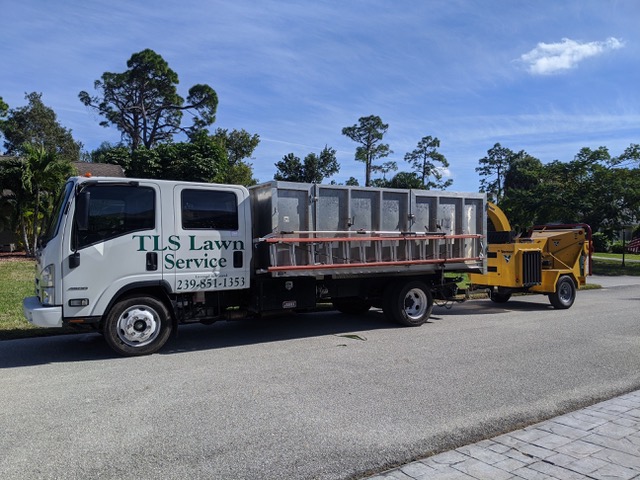 Avatar for TLS Lawn & Tree Service