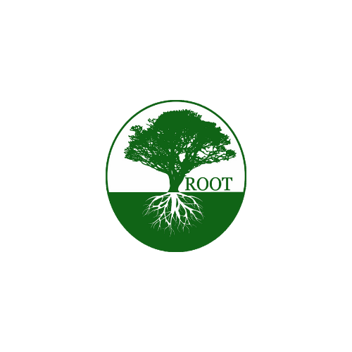 Avatar for Root Cleaning Solutions