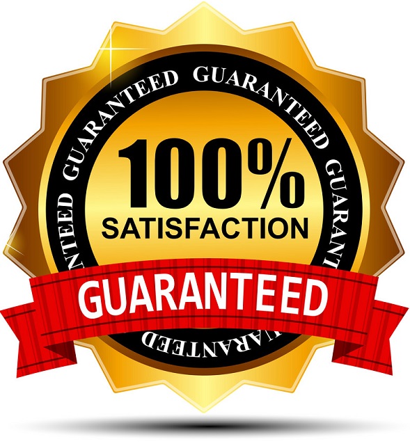 All Pro Sanitize logo