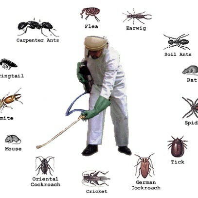 Logo for Vaughan's Pest Control