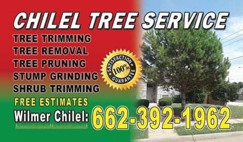 Avatar for Chilel Tree Service