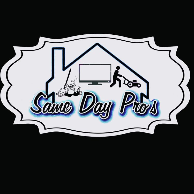 Logo for Same Day Pros