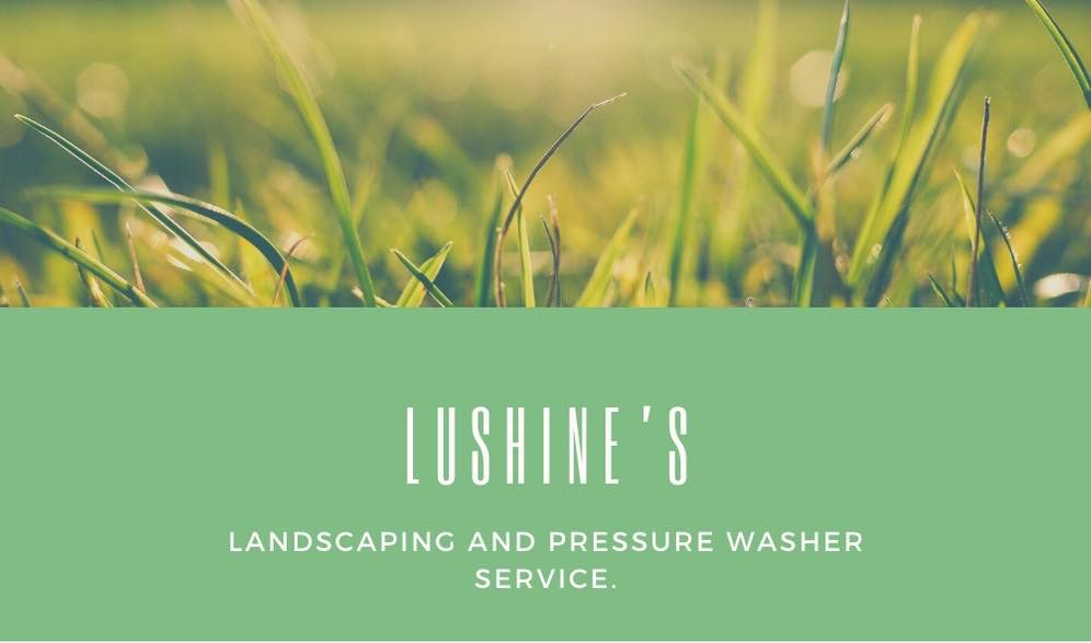 Avatar for Lushines lawncare service