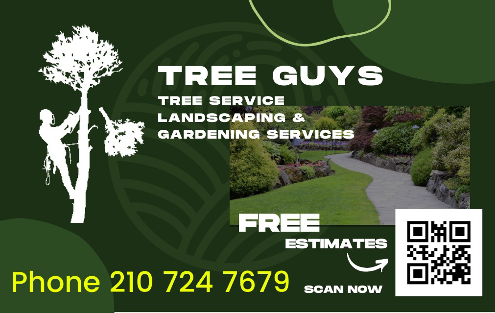 Avatar for Tree Guys Tree Service and Landscaping