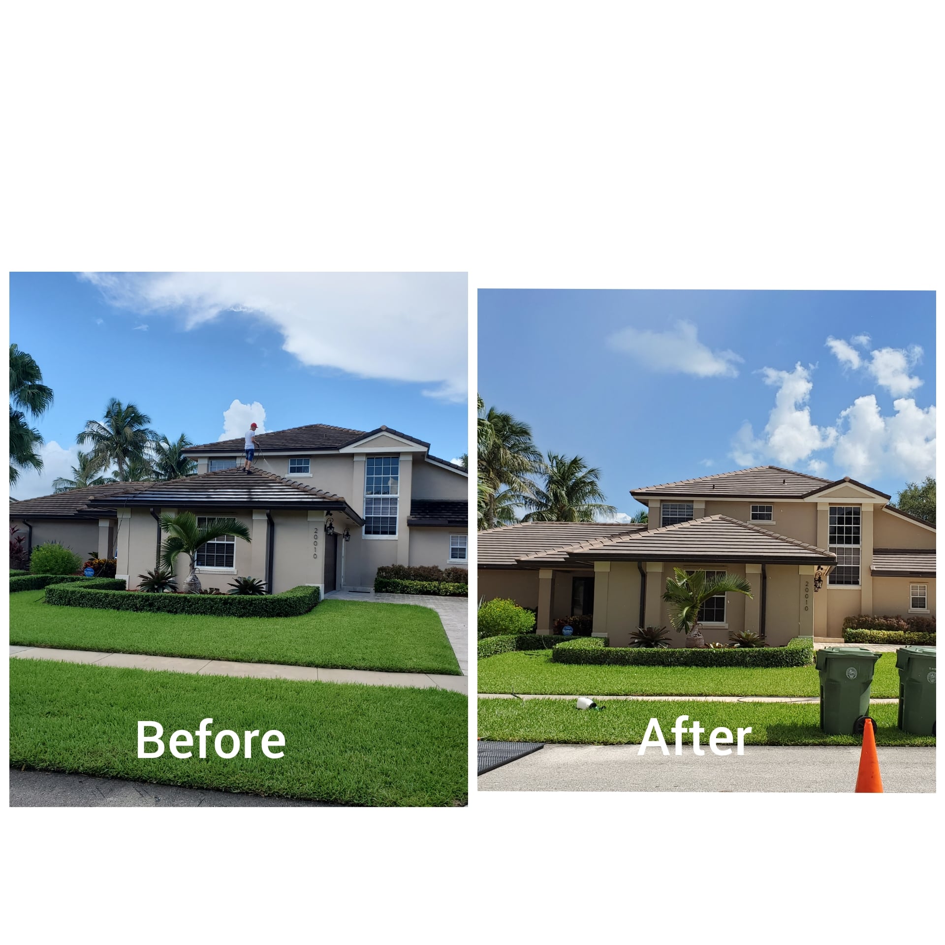 Avatar for Mortons pressure cleaning