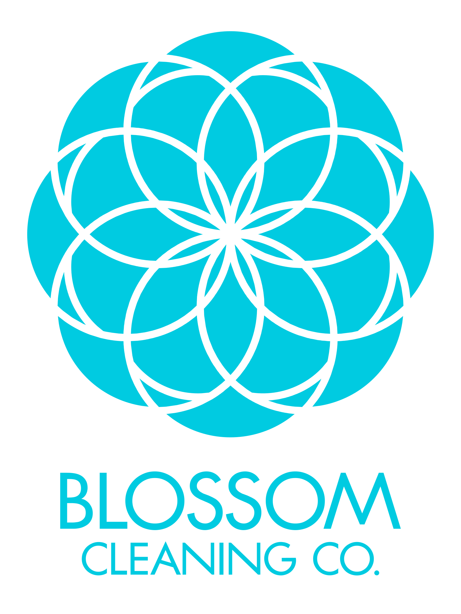 Logo for Blossom Cleaning Company, LLC